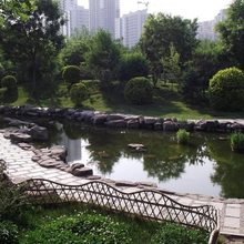 匠心筑绿，生态之美——记河北兰花草园林绿化工程的卓越实践